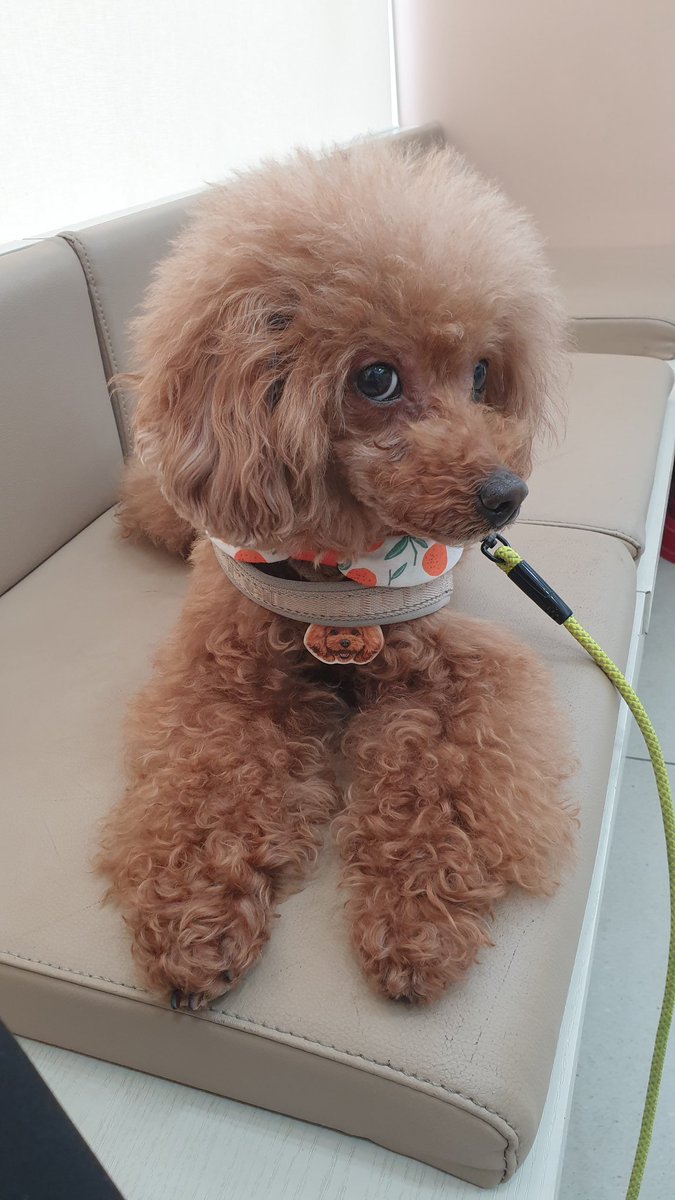 오늘 안울고 잘했어 초코❤
한참뒤에도 지금만 같았으면
이대로 아주 천천히 흘러라 초코시간아