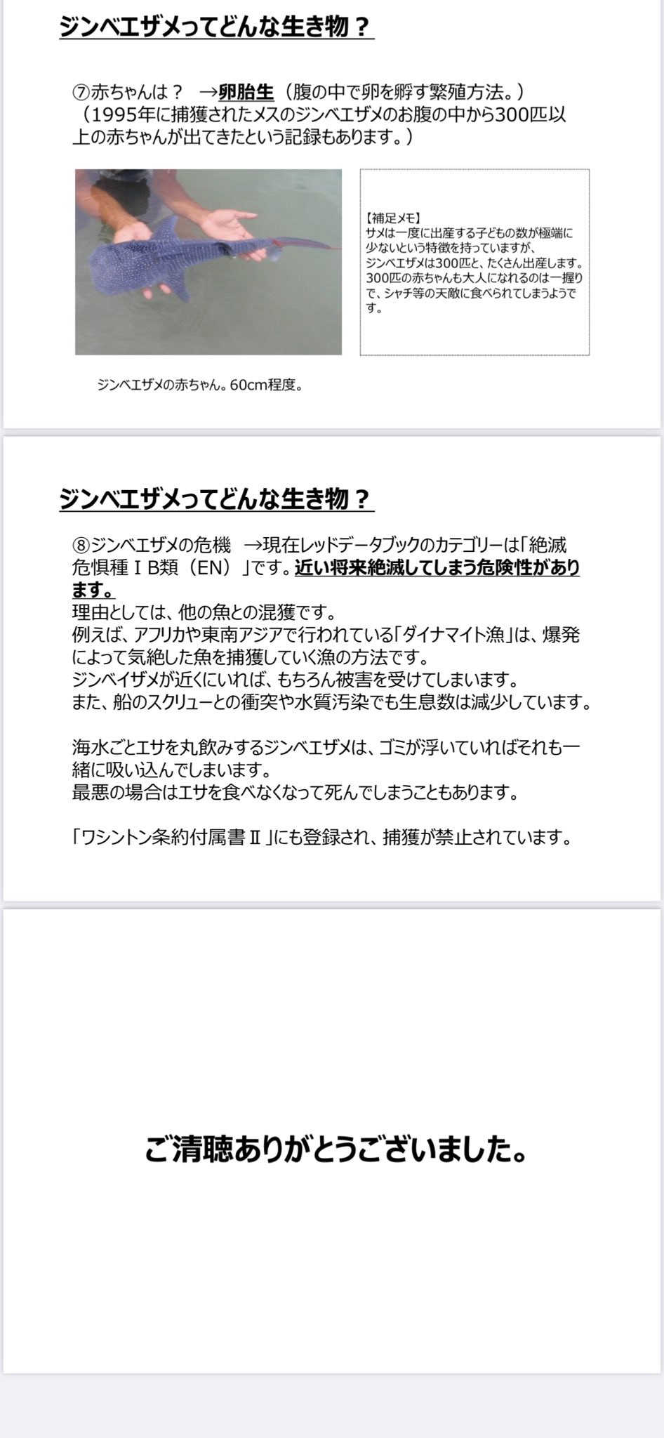 Kirimi Walnutssss Twitter