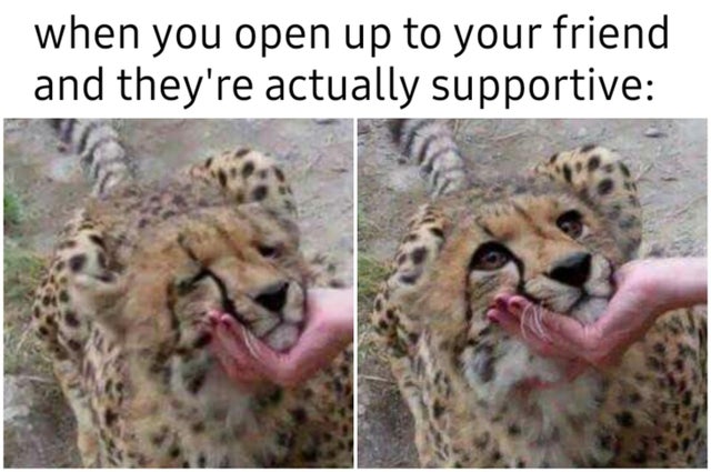 WholesomeMemes tweet media
