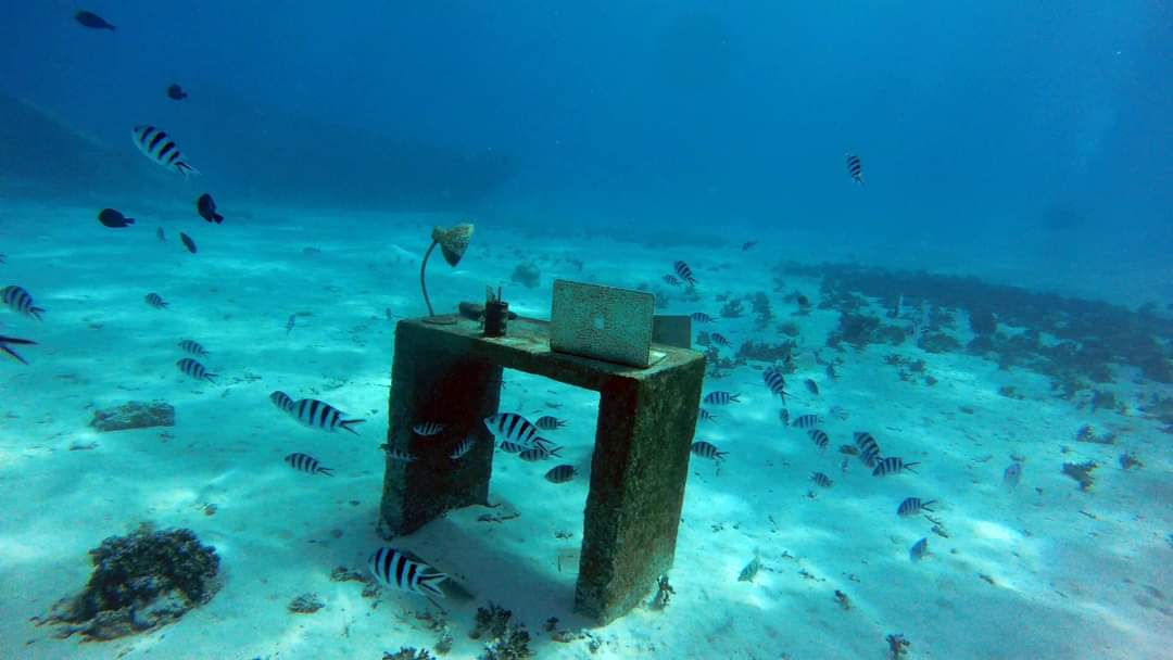 cryptadam's tweet image. Bureau sous marin ! Secret spot #bitcoin #tahiti #photography #diving #btc #apple #photooftheday #eth #cryptocurrencies