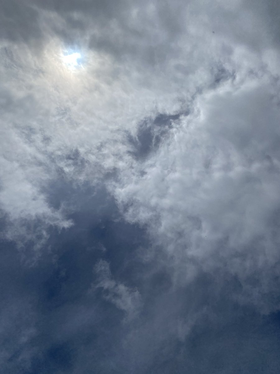 Kairan Knight tweet media