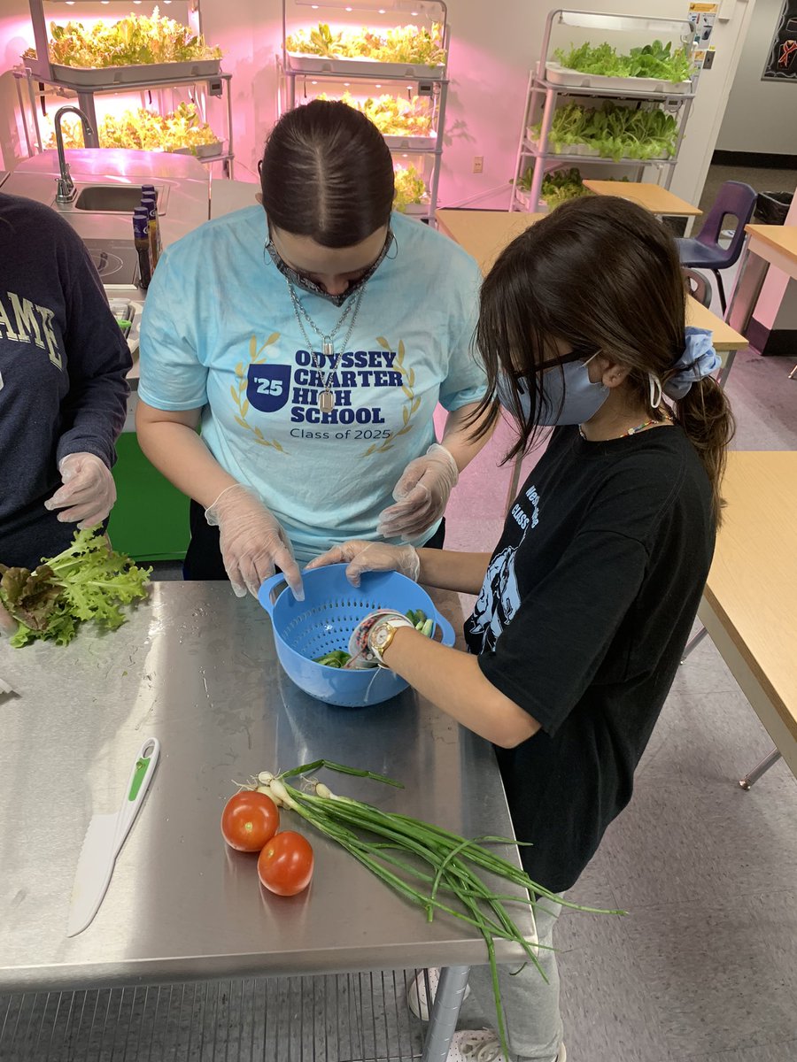 AMylonasOCS's tweet photo. @OCSDelaware Greek 🇬🇷Culinary Arts students making salads with the lettuce 🥬 hydroponically grown &amp; fresh scallions from our garden🥗 @HealthyFoodsDE @DECharterNetwrk https://t.co/1m9SAAYfuf