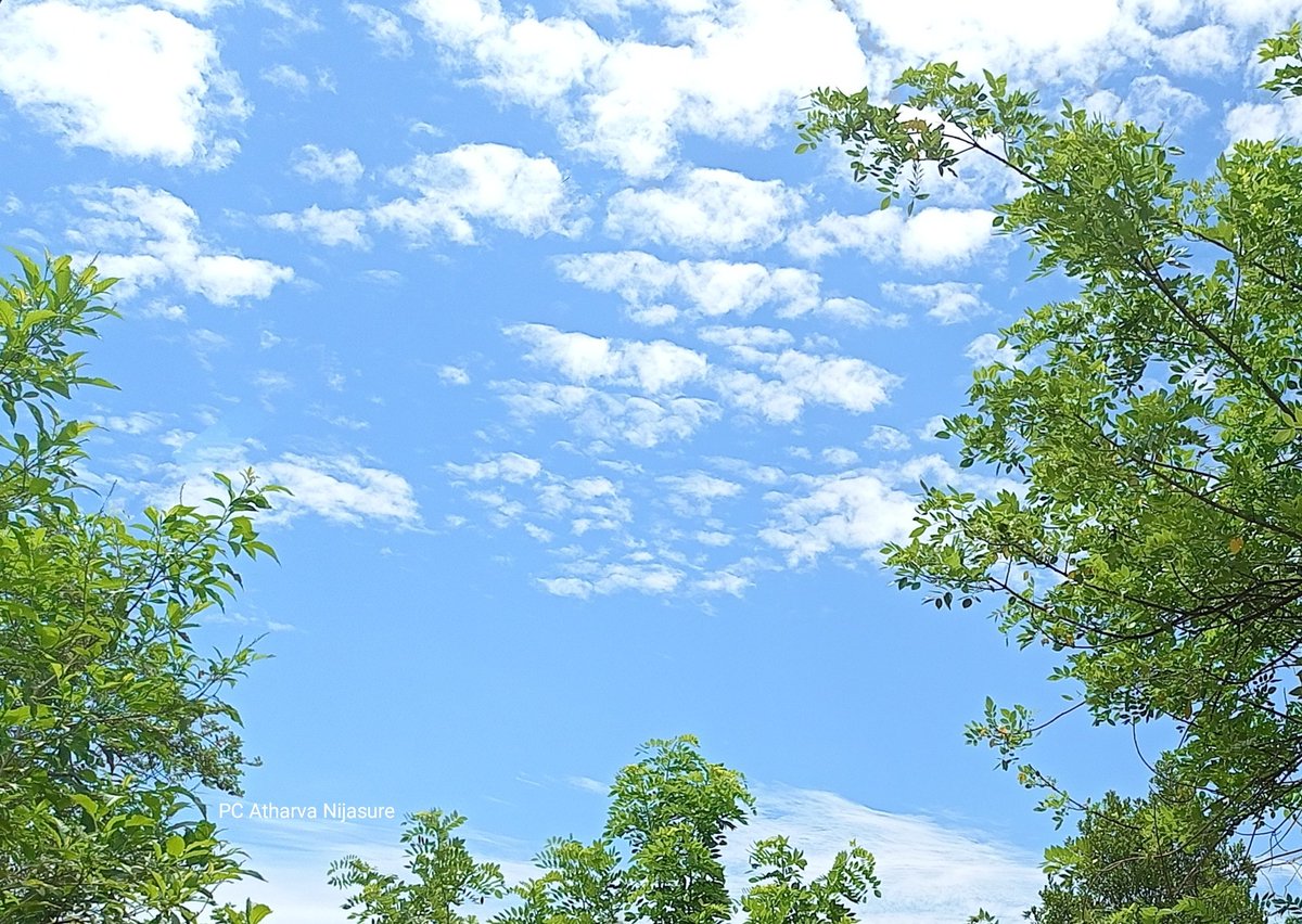 Beautiful clouds seen in the sky today. Photo by <a href="/AtharvaJp/">Atharva P Nijasure</a> from home garden.
#NaturePhotography #sky #clouds #nature #photography #Dapoli