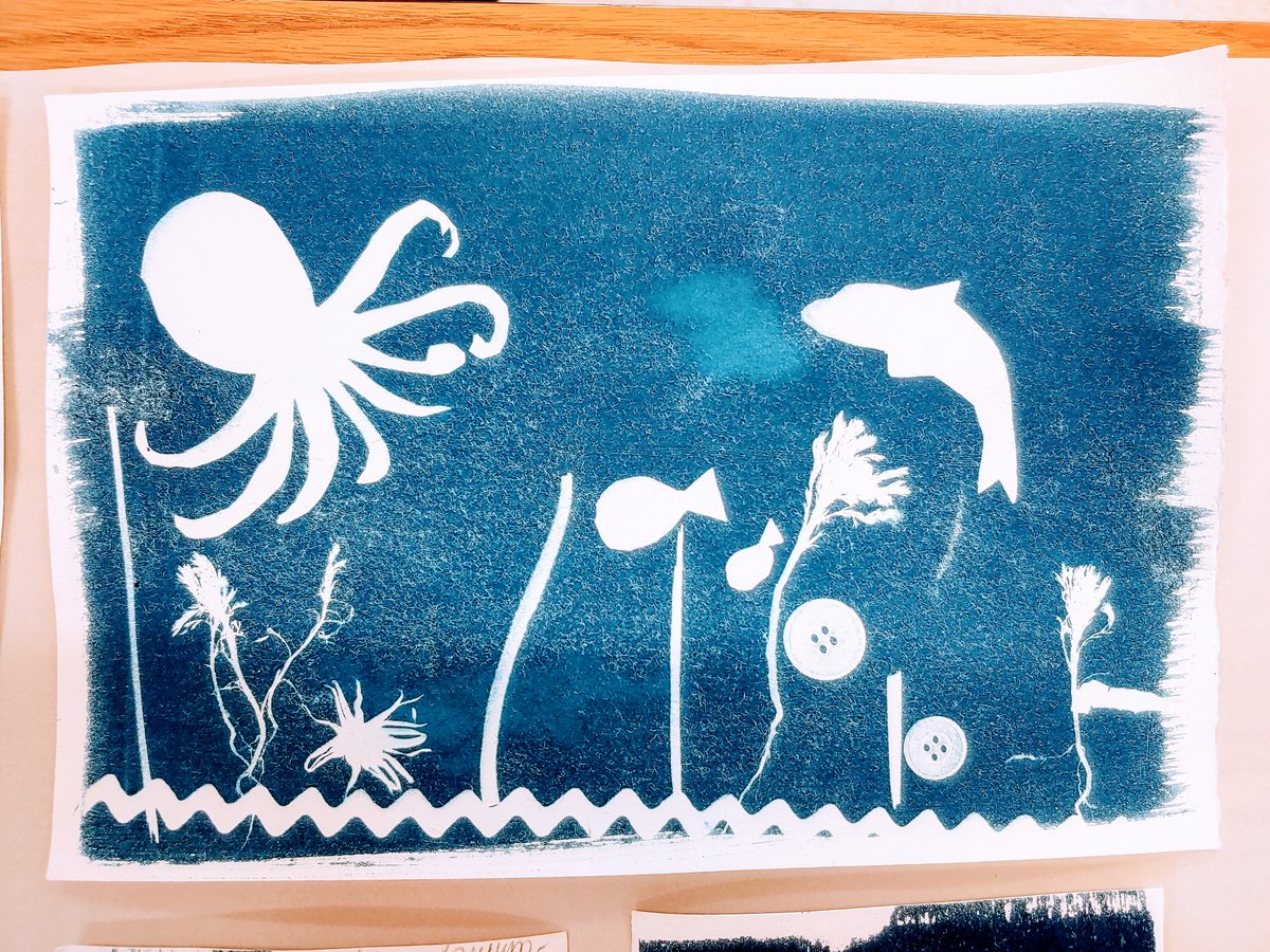 Middle school Photography &amp; Design class finished out their learning with cyanotypes! This process of making photos does not involve a camera--just some chemistry and UV light! #goodhueschool