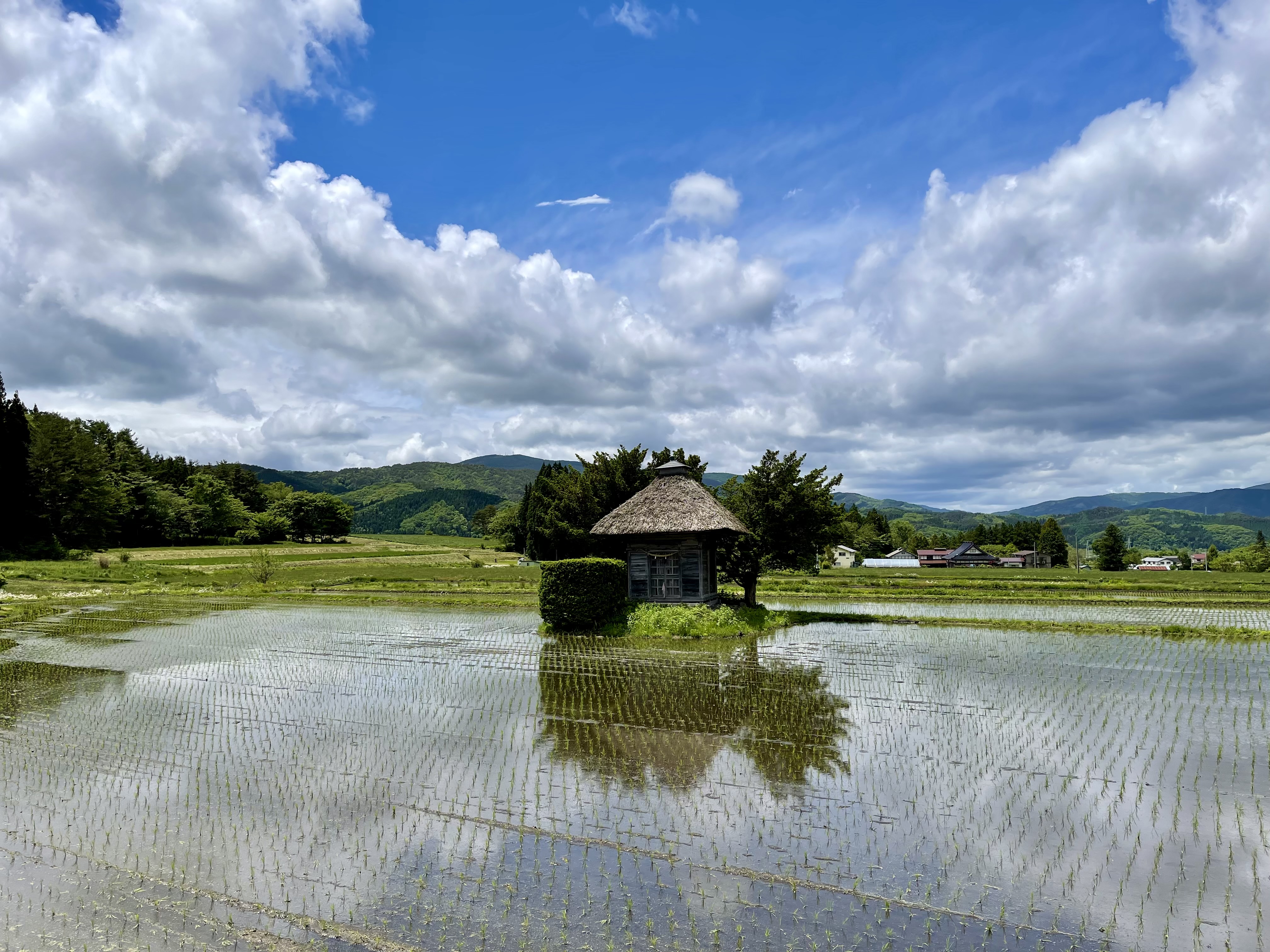 Ichiro 今週の遠野の風景とビールと料理 荒神神社 遠野醸造 小料理鈴音 T Co Eentq6yz84 Twitter