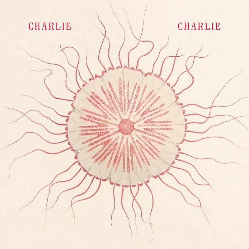 Say hello to Charlie Charlie, the new project of @__bellaboo__ and Chords. Take a listen to the duo's glorious debut track 'Save Us', featuring Mapei lagasta.com/charlie-charli…