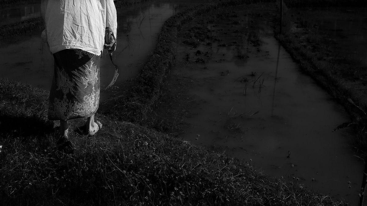 Wanita Minoritas 2021