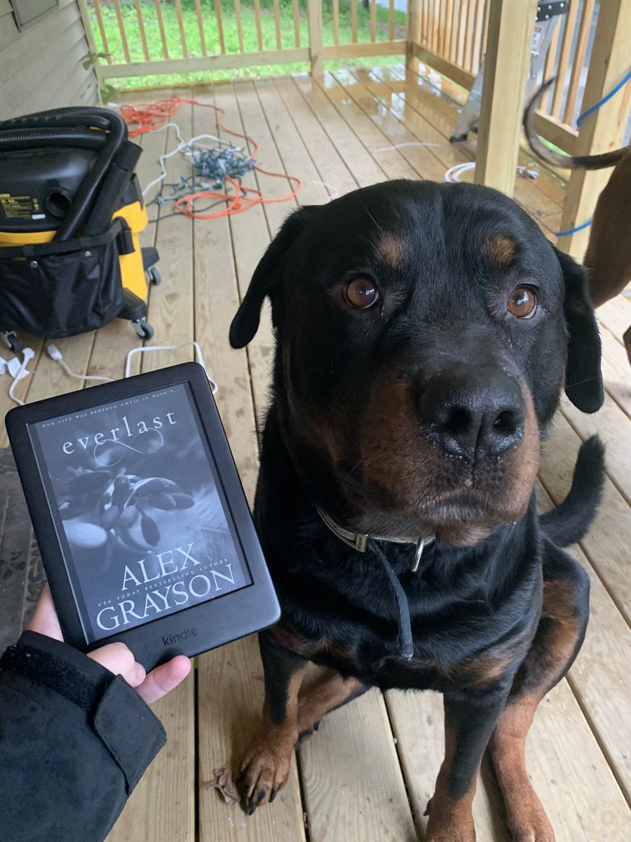 Carly_sullivan3's tweet photo. Book 33✅

Rating:⭐️⭐️⭐️⭐️⭐️
Genre: Romance❤️
Pages: 396 https://t.co/f0AcCycTWZ