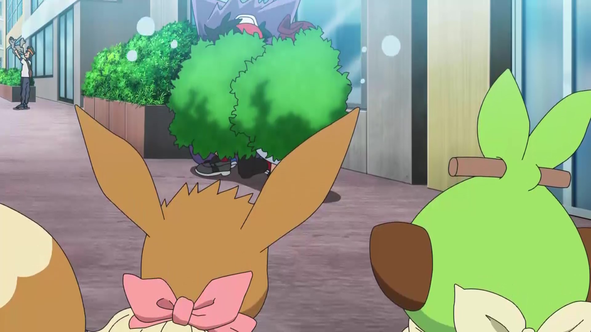 アニメ ポケットモンスター 公式 アニポケ ハイライト サルノリ イーブイ ペリッパー が はじめてのおつかいに挑戦する中 ゴウとコハル サトシ そしてロケット団も大奔走 こっそり 全力でフォローしていましたね アニメ ポケットモンスター 公式 アニポケ ハイライト サルノリ イーブイ ペリッパー が はじめてのおつかいに挑戦する中 ゴウとコハル サトシ そしてロケット団も大奔走 こっそり 全力でフォローしていましたね