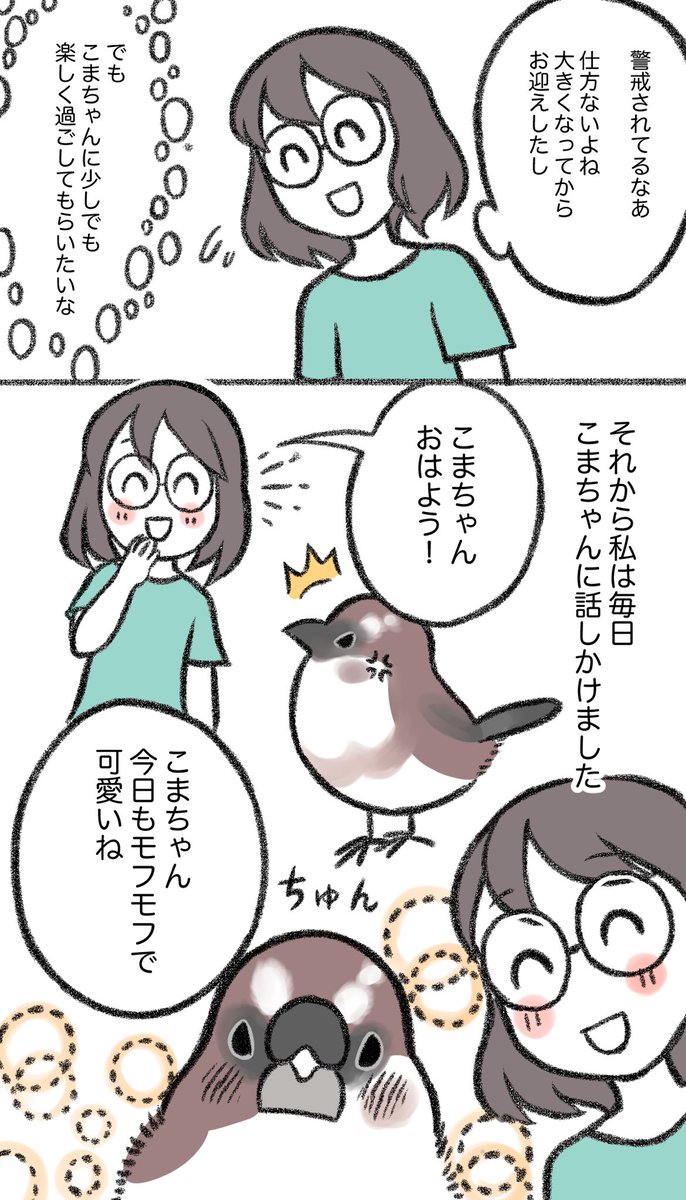 マンガ「こまちゃん」

ココさん(@cocokomatyan )のお家の
十姉妹のこまちゃんのエピソードをマンガ化させていただきました💖 