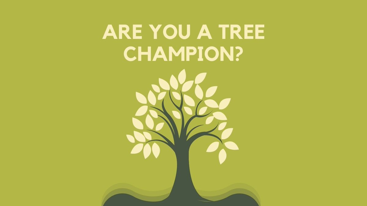 AspireLM's tweet photo. Are you a Tree Champion?

We are looking for volunteer Tree Wardens.  Would you like the opportunity to learn more about trees, gain new skills and play an active role in conserving and enhancing trees and woodland in your local area?

Find out more👇 

https://t.co/XsNC2Cpo5N https://t.co/BzFwJyfZ78