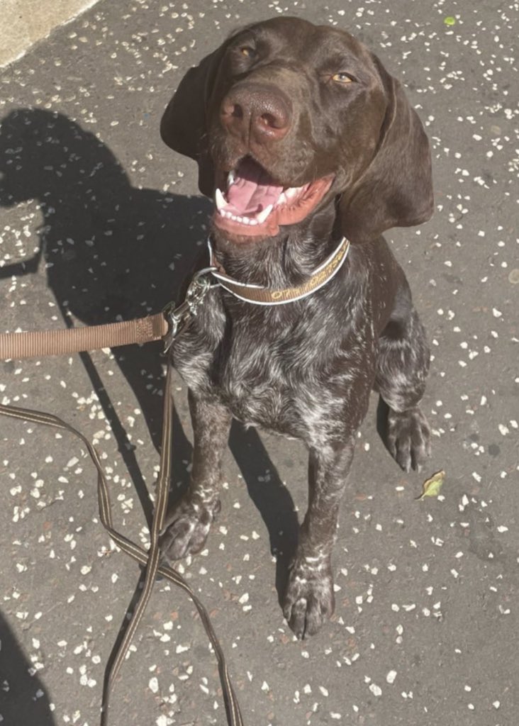 It’s all happening! #juicespringsteen #mannyvice