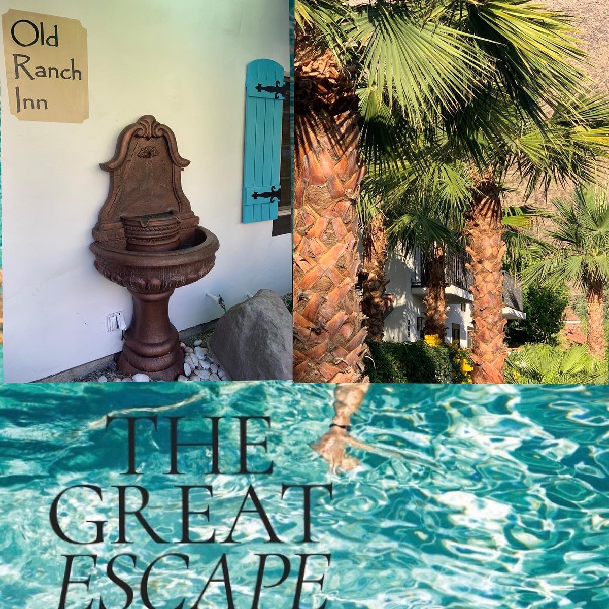 christophergia's tweet photo. What a way to wake up this morning in complete peace and tranquility thanks to my friends and “inn keepers” #jasonball and #TroyLaneJones at @oldranchinn. This desert oasis is a must see if you are looking for a boutique experience! #desertlife #publisherslife #palmsprings https://t.co/NliVEDNaeB