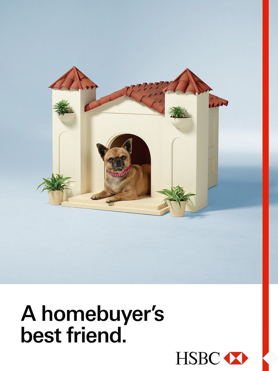 talsilverman's tweet photo. One from the archives for @HSBC

They say don't work with animals, but these pooches were pros!

#hsbc #hsbcbank #advertisingphotography #dogphotography #brickstudios #dogsoftwitter https://t.co/nqKXcPsWSh