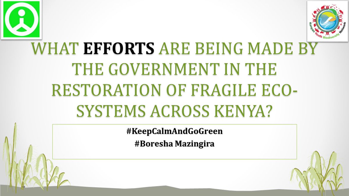 Q1. What efforts are being made by the government in the restoration of fragile ecosystems across Kenya?
<a href="/AYICC_Kenya/">AYICC KENYA</a> <a href="/k_iuesa/">Environmental Students Association🇰🇪</a> <a href="/kikithablogger/">KIKI Tha Blogger</a> @GYBN_Kenya <a href="/tek_kenya/">TEAMEnvironmentKENYA</a> <a href="/NYC_YouthVoice/">National Youth Council Kenya</a> <a href="/InnoDeckoks/">Omil Innocent Deckoks</a> <a href="/okamo_kungu/">Nicholas Omondi,Bsc.</a> #BoreshaMazingira #KeepCalmAndGoGreen <a href="/FrancaKasuku/">Francisca Kasuku</a>