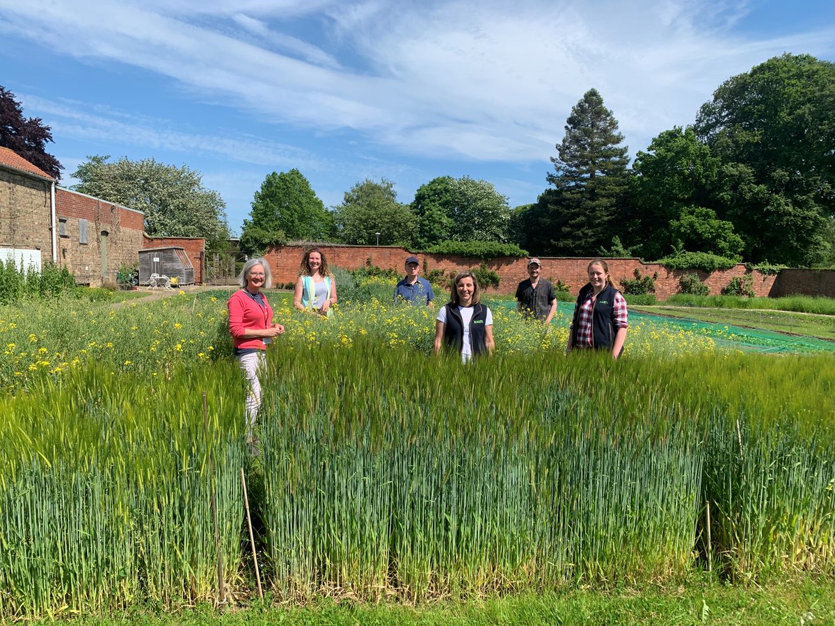 BASISRegLtd's tweet image. What a perfect day @JadePrinceAg and @TanyaKesterton had when they visited the @BASISRegLtd garden at @unilincoln with @IsobelW66799763  – senior lecturer in agriculture, @KellyHewsonF, @iain_gould and @GoodgerSimon

#walledgarden #IPM #biofilters #healthysoils #healthycrops
