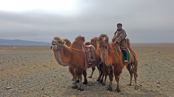 mongolianways's tweet photo. The Gobi Desert, covering nearly 1.3 million square km of total land area, is the largest desert in Asia and the fifth-largest in the world, presiding in China and Mongolia. 

For more:

https://t.co/GXuhBWaaXe

#TravelToMongolia https://t.co/cLfRB0G9AA