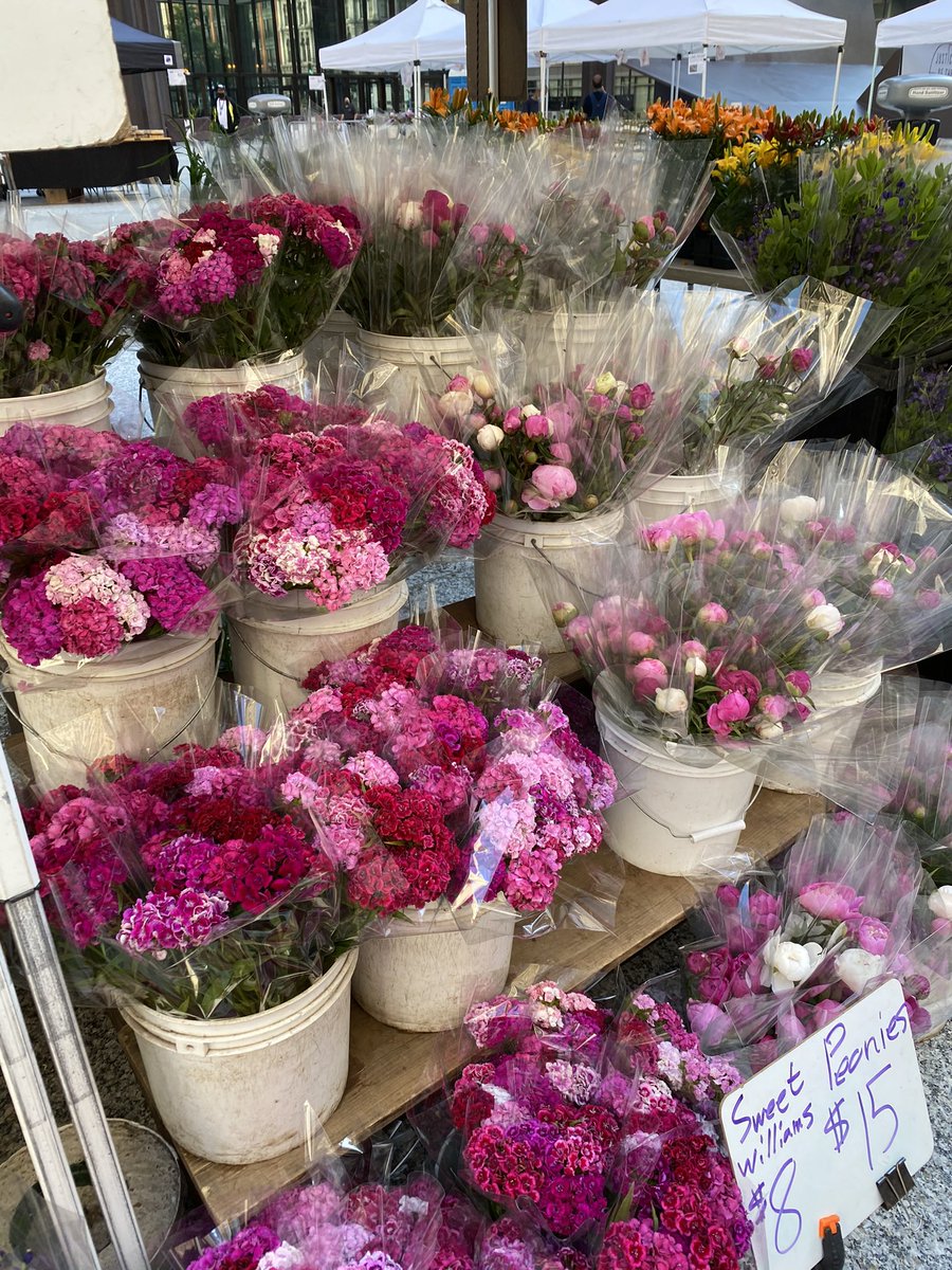 Yescenia Mota tweet media