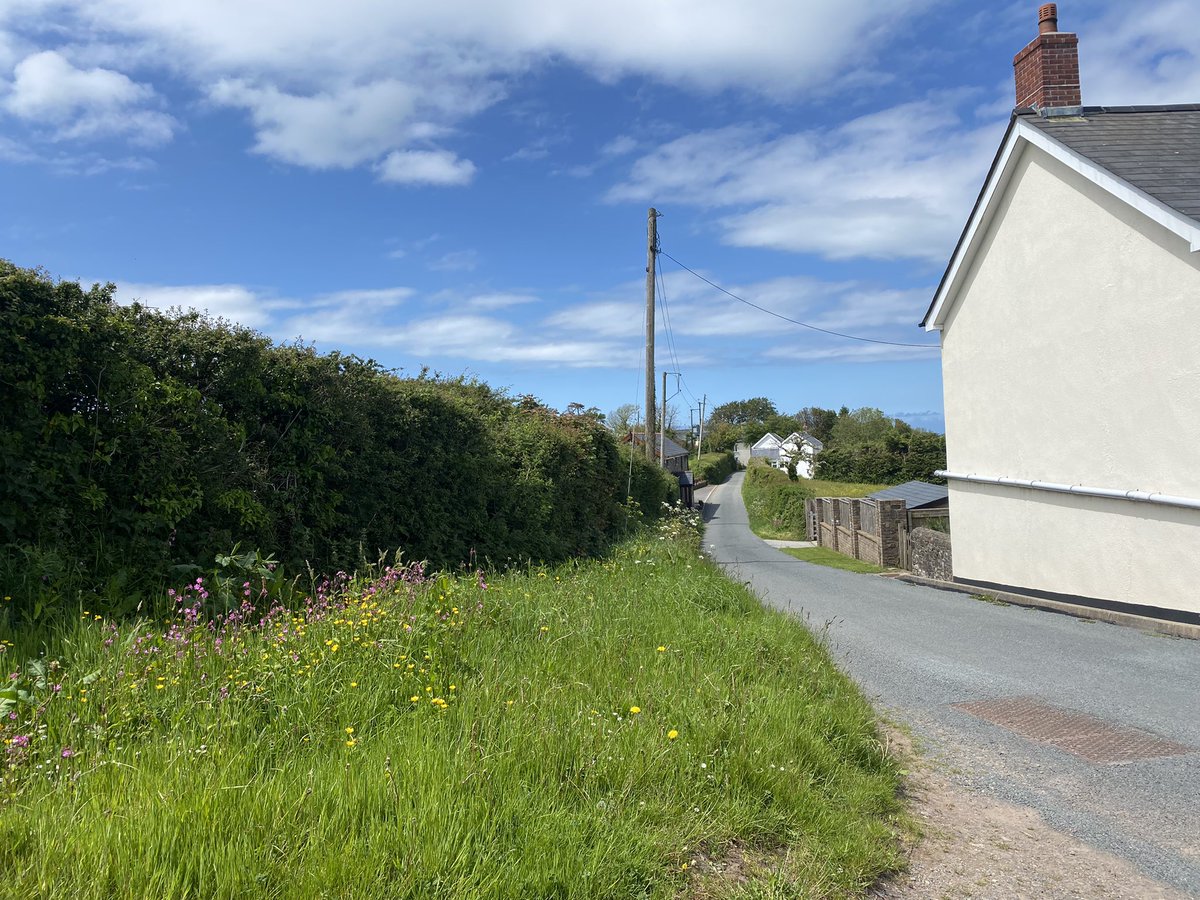 SharonCritchlow's tweet photo. Planning has been put in to @torridgedc in by #holidaypropertybond for further holiday cottage development in the #devonaonb. @BorisJohnson Does this lane need more cars? When do we stop putting money before our environment? Put our green spaces first #g7summit #protectedplaces https://t.co/nMYsg9tWv0