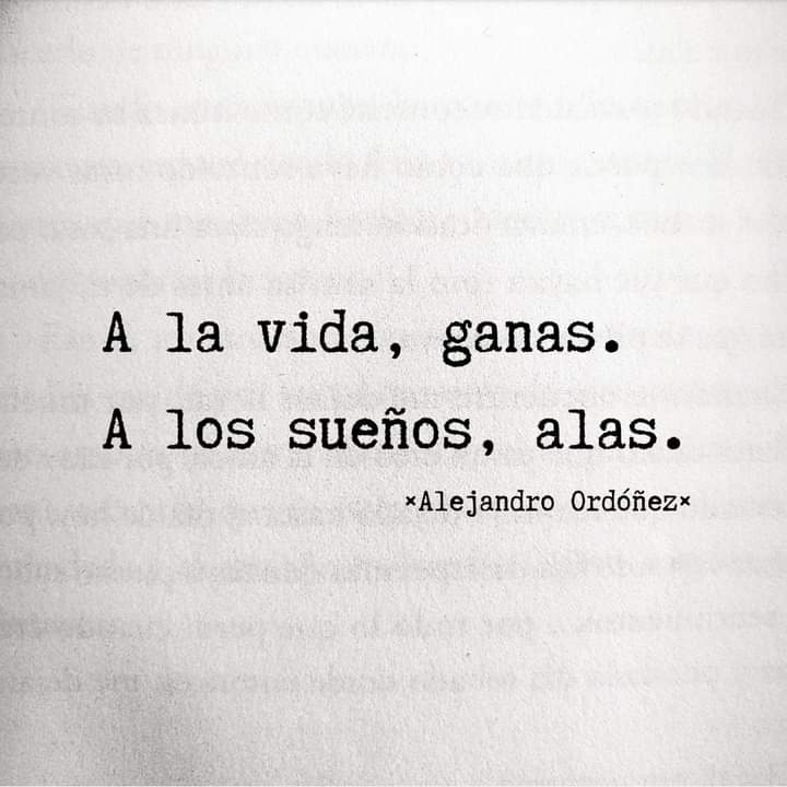 Literat (@literartee) on Twitter photo 