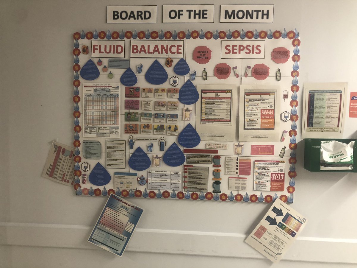 ACTUHMBT's tweet photo. Lovely visit to FGH @UHMBT , meeting the teams. All very friendly and welcoming!. Hoping to role out the service across bay. Loving the boards done by @ward 2 and @Ward_5_SEAC_FGH 

#ACT#practice#educators#team#AKI#sepsis#fluidbalance#hydration#deterioratingpatient#A-E#SBARS https://t.co/mTTQdhPWRN