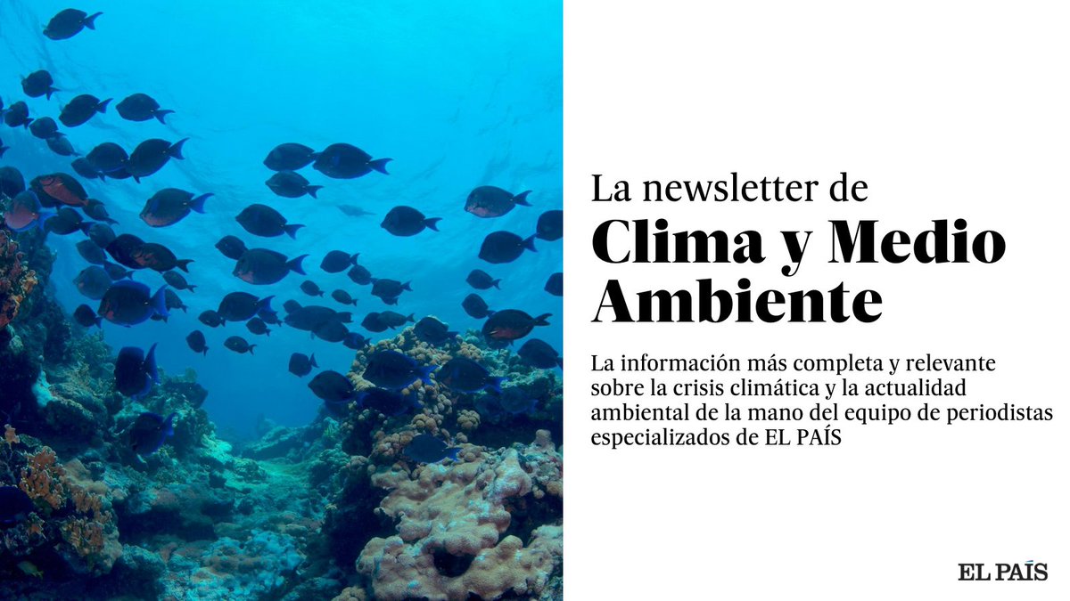 Tesauro Dar permiso Gracias por tu ayuda EL PAÍS on Twitter: "@elpais_eco Si te interesan las noticias sobre clima, medio ambiente y los animales, apúntate al boletín de @elpais_eco y recibirás cada miércoles en tu correo una selección con Tesauro Dar permiso Gracias por tu ayuda EL PAÍS on Twitter: "@elpais_eco Si te interesan las noticias sobre clima, medio ambiente y los animales, apúntate al boletín de @elpais_eco y recibirás cada miércoles en tu correo una selección con