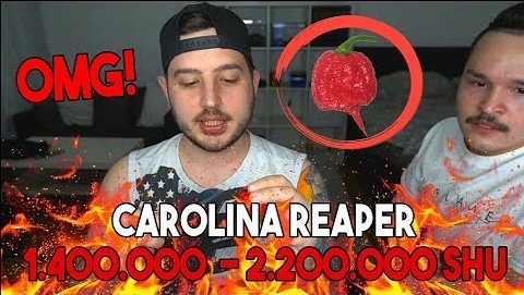 dannycannibal's tweet photo. Wir probieren die schärfste Chili der Welt 🔥 [Carolina Reaper Challenge

🔴 https://t.co/DsIzIIUR5g

#carolinareaper #carolinareaperchallenge #pepper #pepperchallenge #challenge #youtube #youtubede #youtubekanal #youtuber #hamburg #chilichallenge #chili https://t.co/1bEohipPSo