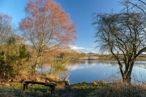 PSOSForthValley's tweet photo. We've had reports of youths swimming in #Gartmorn Dam, #Sauchie, due to warm weather; we I don't want to ruin the fun, but you need to be aware of risks of entering the water.

On average 18 u-18's die from #drowning in the UK each year.

For more info 💻 https://t.co/QLcW1DpTnM https://t.co/l1HaAA2CKt