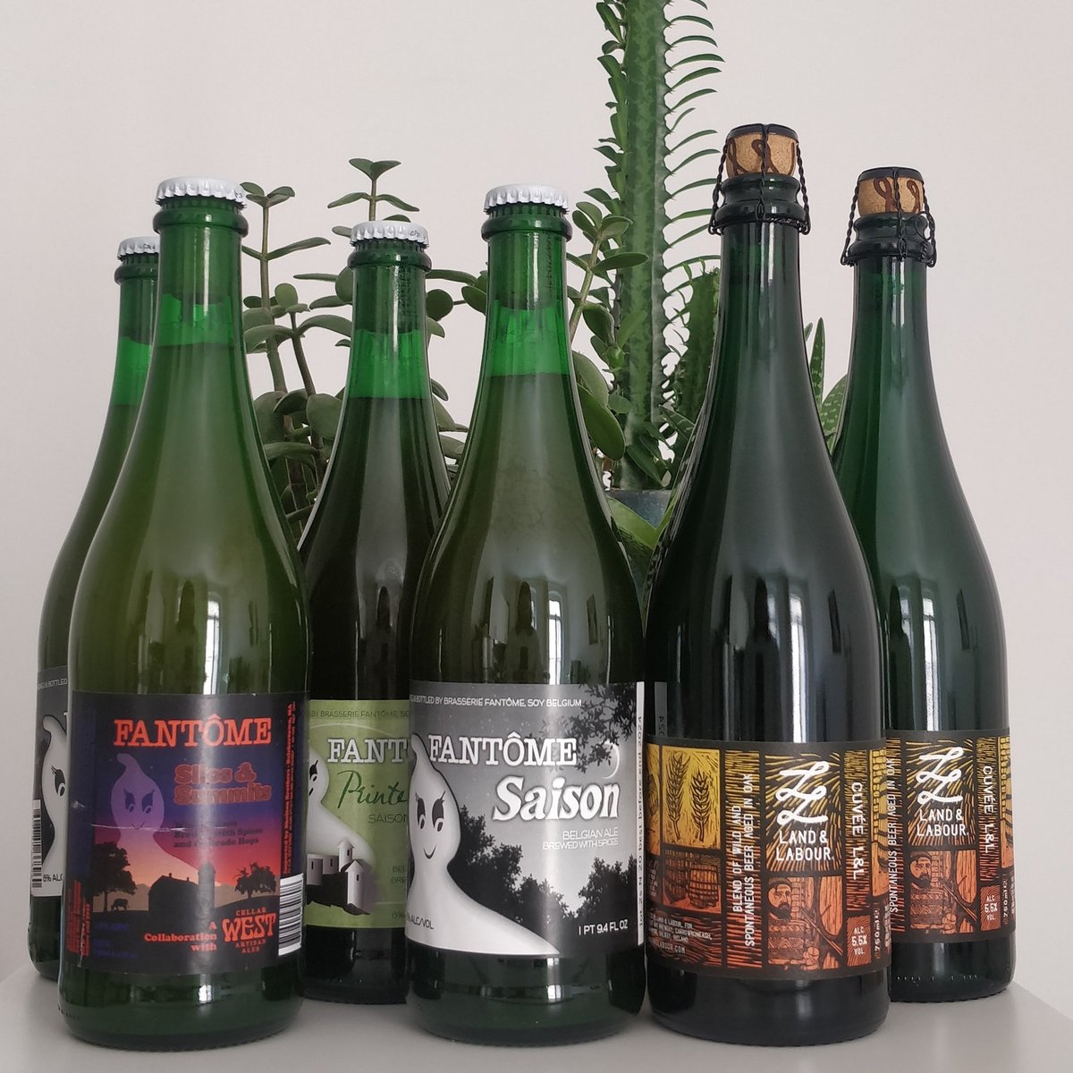 Ghost season and <a href="/Land_and_Labour/">Land & Labour</a> bangers. Perfect beers for when there's gorgeous weather outside and you're indoors all day like a fucking vampire