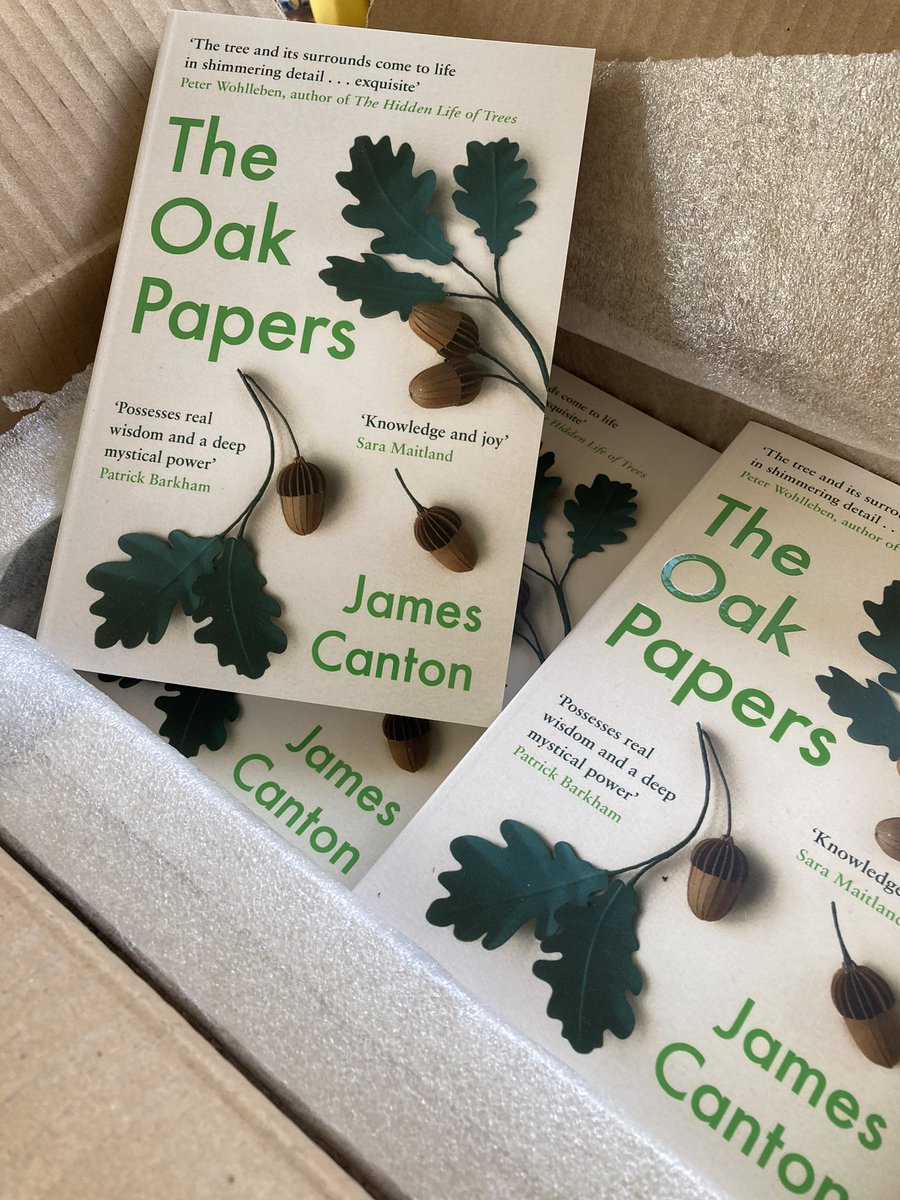 The Oak Papers is published today in paperback. 🌳🌳😊Wonderful cover by @Canongate_Art directed by Gill Heeley.