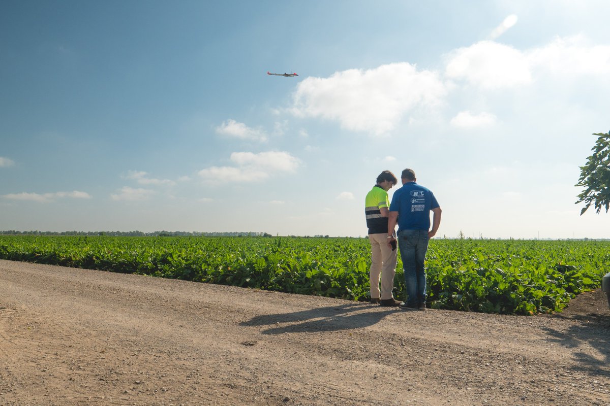 Azucarera tweet media