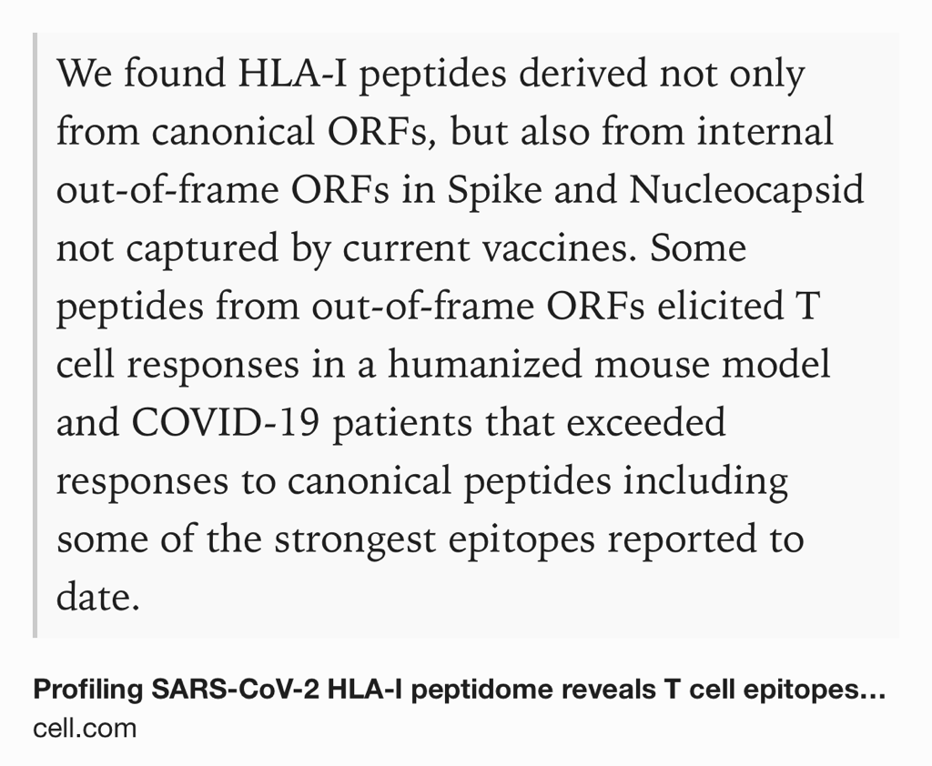 Text Shot: We found HLA-I peptides derived not only from canonical ORFs, but also from internal out-of-frame ORFs in Spike and Nucleocapsid not captured by current vaccines. Some peptides from out-of-frame ORFs elicited T cell responses in a humanized mouse model and COVID-19 patients that exceeded responses to canonical peptides including some of the strongest epitopes reported to date.