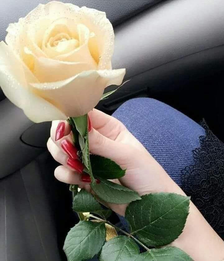 chakerayeb's tweet image. 