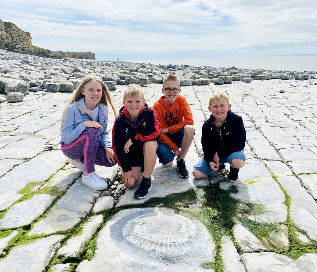 Ginormous fossil spotted this morning on Rhoose beach! 🦕 🦖 🐚 #fossil #ValeOfGlamorgan #rhoose <a href="/rachelwinter80/">Rachel Winter</a> @AreWhs <a href="/barrydistrict/">Barry District News</a> <a href="/barry_beautiful/">Beautiful Barry</a> <a href="/Valeways/">Valeways</a>
