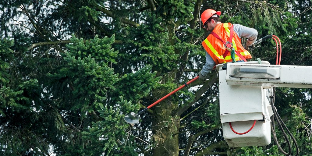 Only trained professionals should trim trees around power lines. When having your trees trimmed or removed, call FortisBC to have your power temporarily disconnected. In most cases there’s no charge for this service. Learn more about #PowerLineSafety. bit.ly/33PoPpV