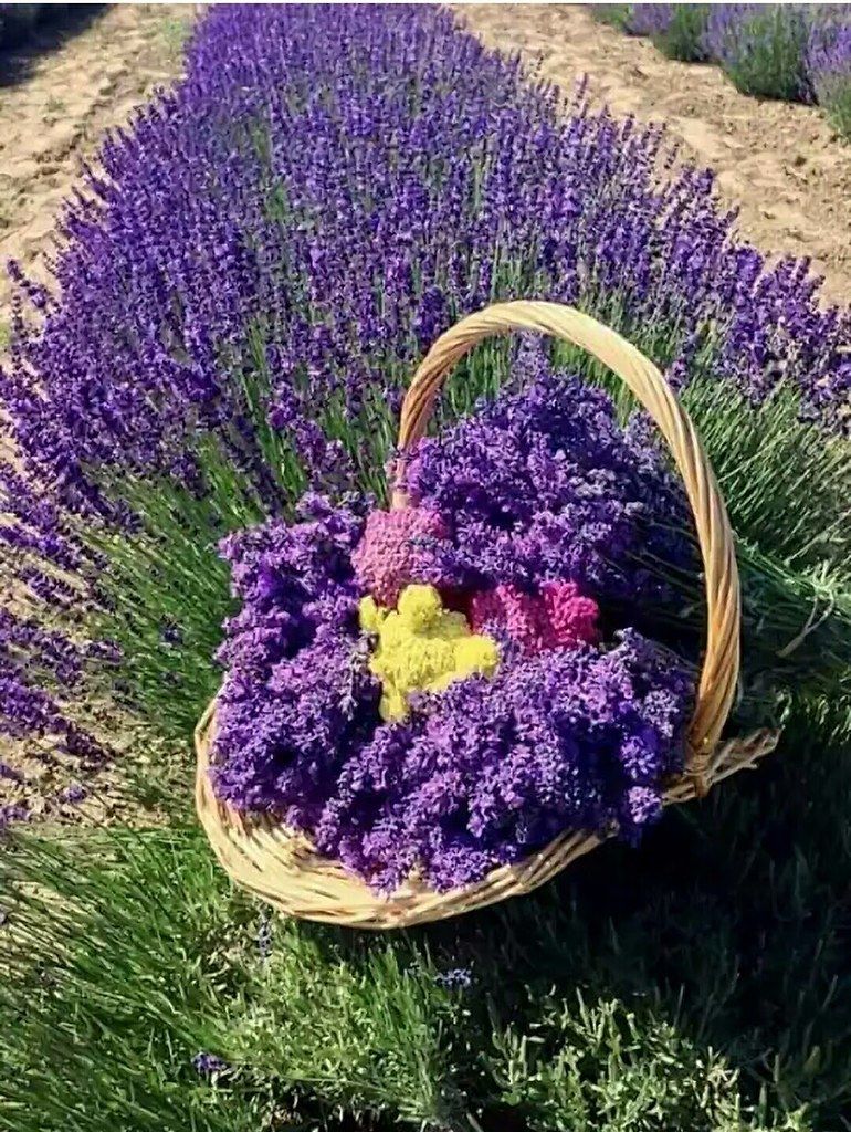 🇦🇱 Lana 🇫🇷 (@zoyananas) on Twitter photo <a href="/rpskataria/">Ramphal Kataria رامپھل کٹاریا</a> @Lauraterez <a href="/Alexa17101614/">ALEXA 🍃💋🍃</a> <a href="/Chief_Pilot_/">Сергей Борисенко 🇷🇺</a> @SUDEBBI88994521 <a href="/KurdoErgan/">Kurdo ERGAN</a> <a href="/Titas37/">Benito -</a> @Zulehik <a href="/maype7/">✿⊱ Mayuli Peña R ✿⊱</a> <a href="/TirilMari/">MARIT SVARVA.</a> <a href="/DerekPa30582481/">Derek Paterson</a> <a href="/ESwedman/">Elisabeth Swedman</a> <a href="/PolishRoyalGoat/">Ana and her Goat</a> <a href="/SAgelkaras/">StefanosAgelkaras</a> <a href="/BwnNag/">Debasis Nag.....</a> <a href="/SnowWhiteRina/">Snow White Rina</a> <a href="/19marino74/">Marino Lo Chiatto</a> @GerdaAnnaK1 <a href="/Lorrainefmdg/">Lorraine gray</a> <a href="/veronicamadel/">VERONICA</a> <a href="/RrWichi/">Malena</a> <a href="/annakolovou/">Anna Kolovou💎</a> <a href="/mceliasantos/">Maria Celia Steola</a> <a href="/StephanieH9229/">🌷Stéphanie🌷</a> <a href="/Emanuelnascime8/">Emanuel nascimento</a> <a href="/Marlene24982279/">🦋MARLENE🦋</a> @lecorrea8100 <a href="/rafaelc11589815/">rafael campos</a> @aimoucheaimo <a href="/GeorginaAntoin9/">✨💛Georgina Antoine💛✨</a> <a href="/mlluisar/">Maria Luisa Ruiz</a> <a href="/LockettsPeter/">peter lockett</a> @EnzoDowling <a href="/Bella_Ely_/">❀👠••►ℰ ℒ ⅈ 👠◄••❀🌷••</a> <a href="/GiorgosKontopi7/">Giorgos Kontopidis</a> <a href="/otrogoga60/">ᴏꜱᴄᴀʀ ɢᴏᴍᴇᴢ ɢᴀʀᴄɪᴀ</a> <a href="/MujittafaMusa/">M. Musa</a> <a href="/TaherrL/">T🅰HE® L🅾UNIS 🌴 🇩🇿🌍♥</a> <a href="/npsraghav0/">nps raghav</a> <a href="/Enzo55179168/">Enzo</a> <a href="/IsmailShihan/">Ismail Shihan</a> <a href="/MalikaAkram14/">Malika Akram</a> <a href="/Moine27549577/">Moine</a> <a href="/Jendrekan/">Ανδρεασ</a> <a href="/AndreasMouyis1/">AndreasMouyis1</a> <a href="/eft76/">.</a> Thank u 🙏💋🌹❤ <a href="/rpskataria/">Ramphal Kataria رامپھل کٹاریا</a> @Lauraterez <a href="/Alexa17101614/">ALEXA 🍃💋🍃</a> <a href="/Chief_Pilot_/">Сергей Борисенко 🇷🇺</a> @SUDEBBI88994521 <a href="/KurdoErgan/">Kurdo ERGAN</a> <a href="/Titas37/">Benito -</a> @Zulehik <a href="/maype7/">✿⊱ Mayuli Peña R ✿⊱</a> <a href="/TirilMari/">MARIT SVARVA.</a> <a href="/DerekPa30582481/">Derek Paterson</a> <a href="/ESwedman/">Elisabeth Swedman</a> <a href="/PolishRoyalGoat/">Ana and her Goat</a> <a href="/SAgelkaras/">StefanosAgelkaras</a> <a href="/BwnNag/">Debasis Nag.....</a> <a href="/SnowWhiteRina/">Snow White Rina</a> <a href="/19marino74/">Marino Lo Chiatto</a> @GerdaAnnaK1 <a href="/Lorrainefmdg/">Lorraine gray</a> <a href="/veronicamadel/">VERONICA</a> <a href="/RrWichi/">Malena</a> <a href="/annakolovou/">Anna Kolovou💎</a> <a href="/mceliasantos/">Maria Celia Steola</a> <a href="/StephanieH9229/">🌷Stéphanie🌷</a> <a href="/Emanuelnascime8/">Emanuel nascimento</a> <a href="/Marlene24982279/">🦋MARLENE🦋</a> @lecorrea8100 <a href="/rafaelc11589815/">rafael campos</a> @aimoucheaimo <a href="/GeorginaAntoin9/">✨💛Georgina Antoine💛✨</a> <a href="/mlluisar/">Maria Luisa Ruiz</a> <a href="/LockettsPeter/">peter lockett</a> @EnzoDowling <a href="/Bella_Ely_/">❀👠••►ℰ ℒ ⅈ 👠◄••❀🌷••</a> <a href="/GiorgosKontopi7/">Giorgos Kontopidis</a> <a href="/otrogoga60/">ᴏꜱᴄᴀʀ ɢᴏᴍᴇᴢ ɢᴀʀᴄɪᴀ</a> <a href="/MujittafaMusa/">M. Musa</a> <a href="/TaherrL/">T🅰HE® L🅾UNIS 🌴 🇩🇿🌍♥</a> <a href="/npsraghav0/">nps raghav</a> <a href="/Enzo55179168/">Enzo</a> <a href="/IsmailShihan/">Ismail Shihan</a> <a href="/MalikaAkram14/">Malika Akram</a> <a href="/Moine27549577/">Moine</a> <a href="/Jendrekan/">Ανδρεασ</a> <a href="/AndreasMouyis1/">AndreasMouyis1</a> <a href="/eft76/">.</a> Thank u 🙏💋🌹❤
