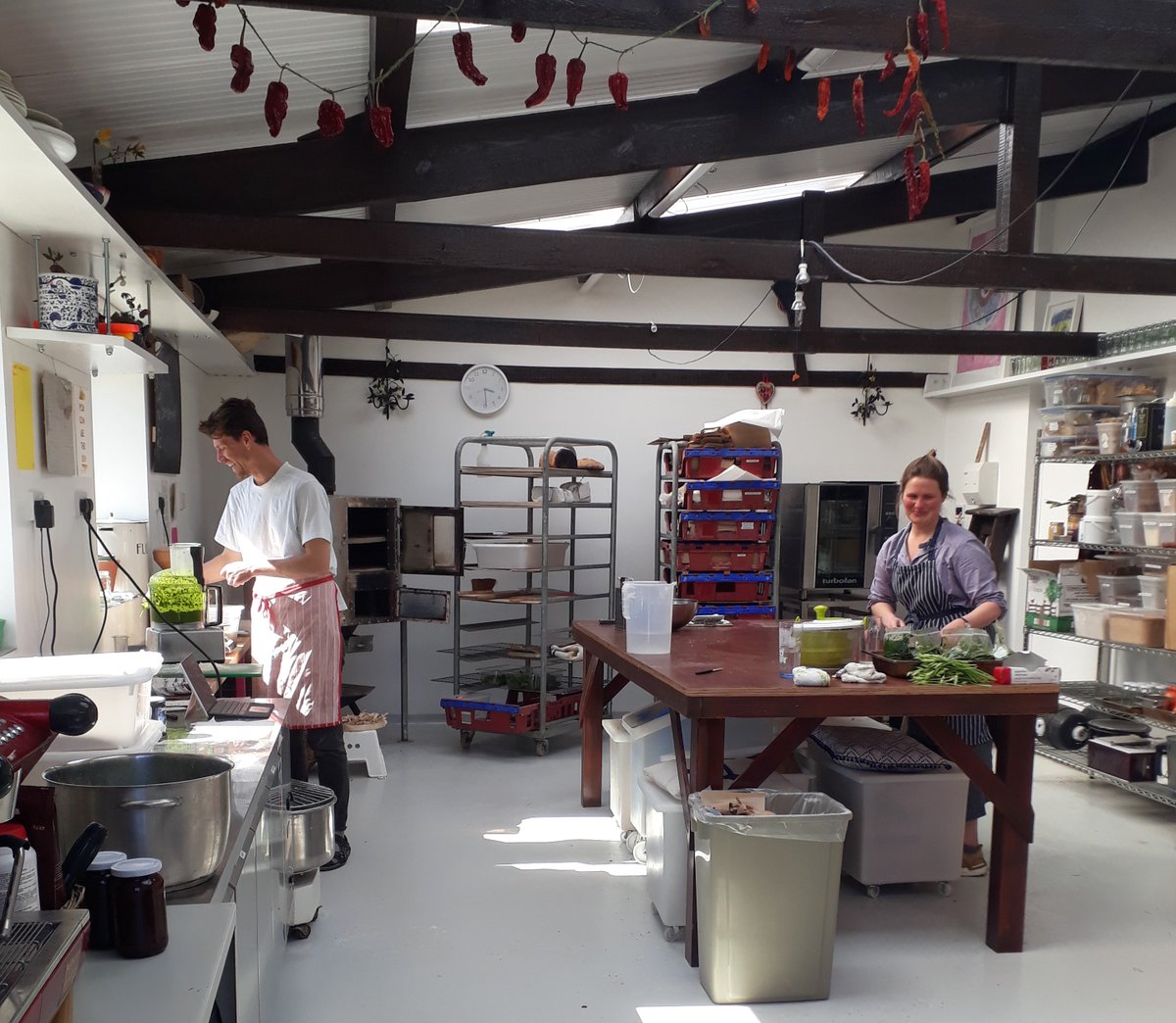 Caroline Aitken, who runs our BSc Regenerative Food and Farming, recently visited <a href="/wakelyns/">Wakelyns</a> in Suffolk. One of the longest-established and most diverse Agroforestry sites in the UK, it is now evolving - Wakelyns Bakery and Real Veg are working together to diversify the farm.