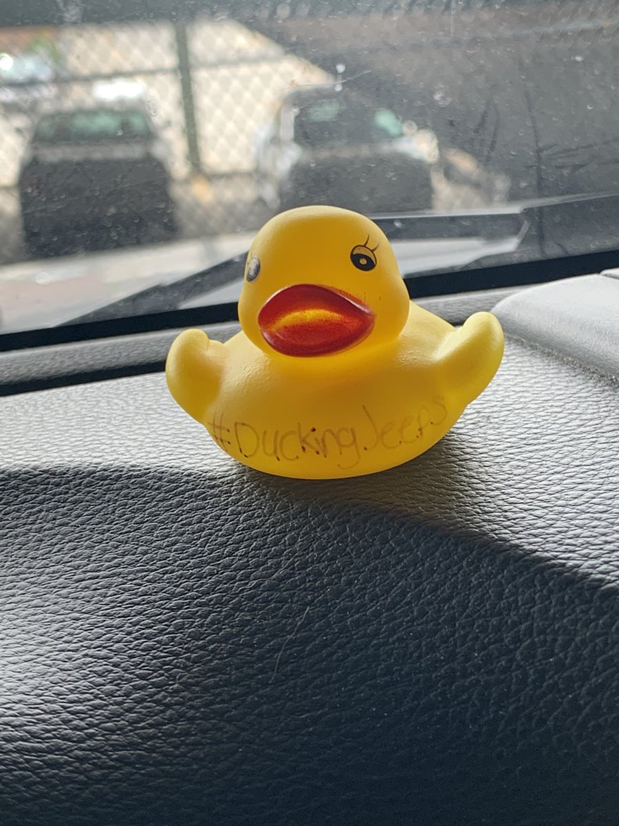 MistProphecy's tweet photo. I got ducked while driving my mom’s jeep #duckingjeeps https://t.co/DAQ39mZ0ny