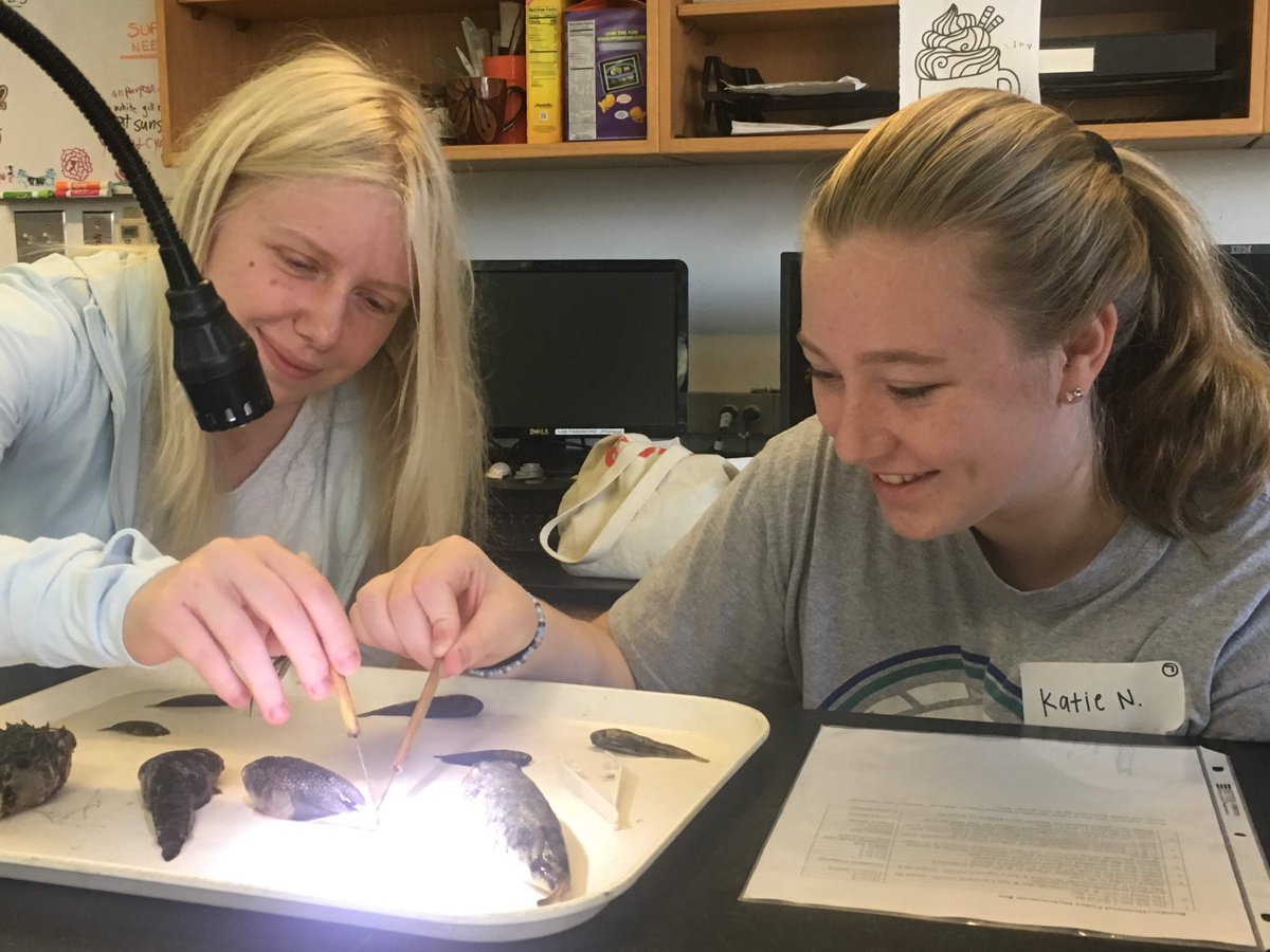 GEST_IMS's tweet photo. I'm excited to announce that GEST @UNCims will welcome local 9-12 grade students for our in-person event on October 16th, 2021. Stay tuned for more news regarding this years activities! https://t.co/8I8VZLj3SG