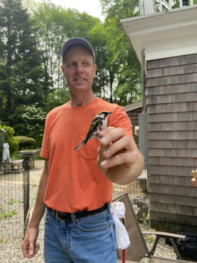 kblakey12's tweet photo. This morning I had the opportunity to bird band with @CTAudubon in Pomfret. We captured 14 species and I learned how to take the birds out of mist nets, properly handle them, take wing measurements and weight, and safely release them. I am so thankful ❤️ #birds #ScienceTwitter https://t.co/DH3fJH4Jn0