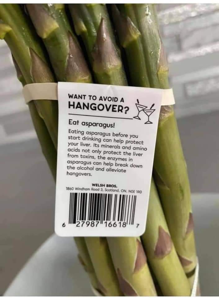 Thank you, pack of tiny trees.