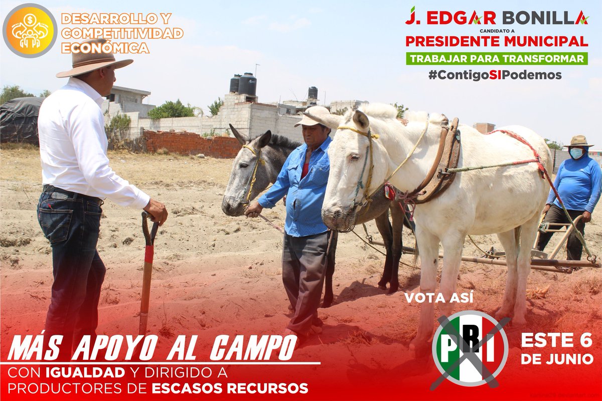 EdgarBonillaR's tweet photo. Es importante tomar acciones para los sectores más vulnerables... 😃🤝🧑‍🌾🌱
#ContigoSIPodemos #Tepatlaxco #SomosPRI #VamosConTodo
@PRIdePUEBLA @MicheleIslasG @CarlosA17648392 @Ivonne34193999 @PTepatlaxco @Lizbeth67101338 https://t.co/jbG0Ymxjm5