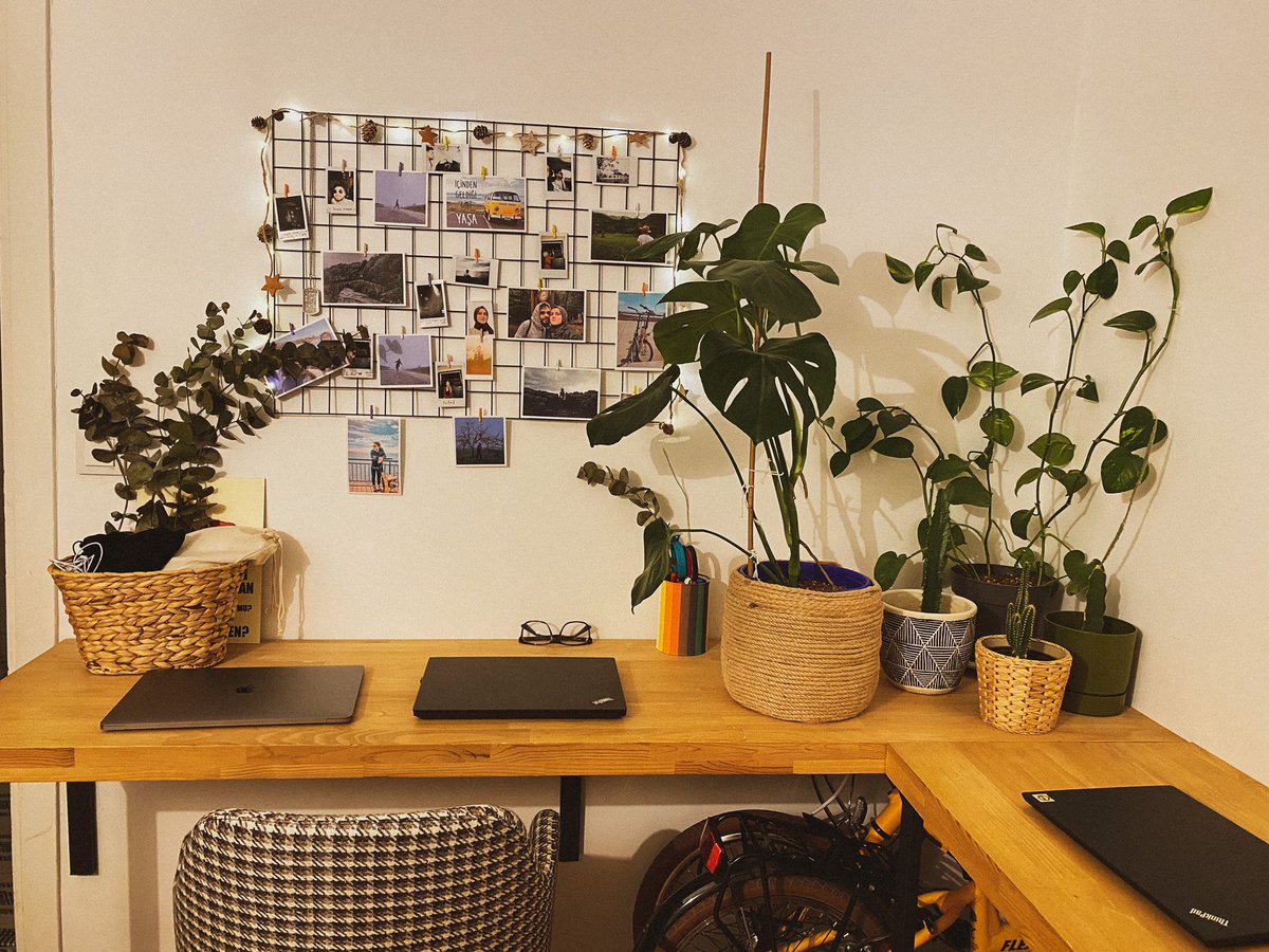 Yeni çoğalttığım monsteramızı da çalışma alanımıza ekledik 😍 mesai boyu sevip motive oluyoruz, mesai bitince de masanın altına sakladığımız bisikletleri alıp kaçıyoruz w/<a href="/Sezeraltun/">Sezer ALTUN</a> 🙃