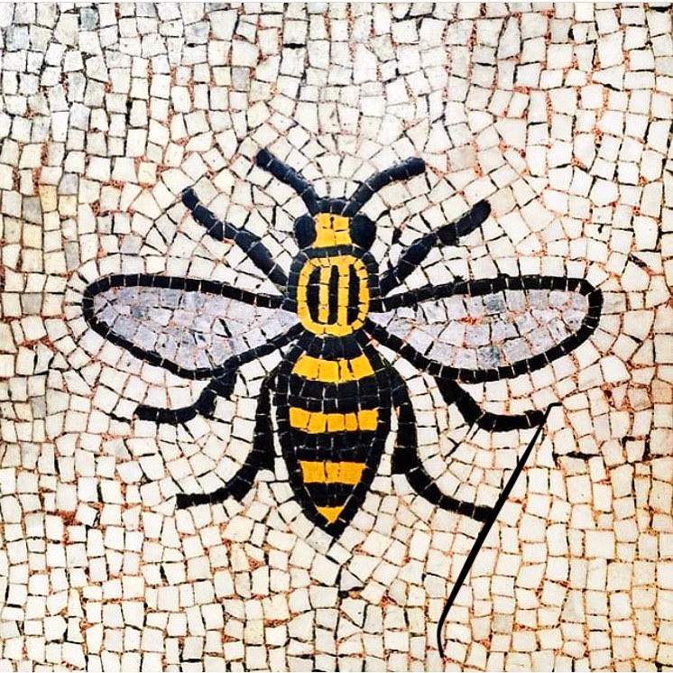 ryanburl's tweet photo. 22.5.17
Never forgotten https://t.co/0iQDFZFcgG