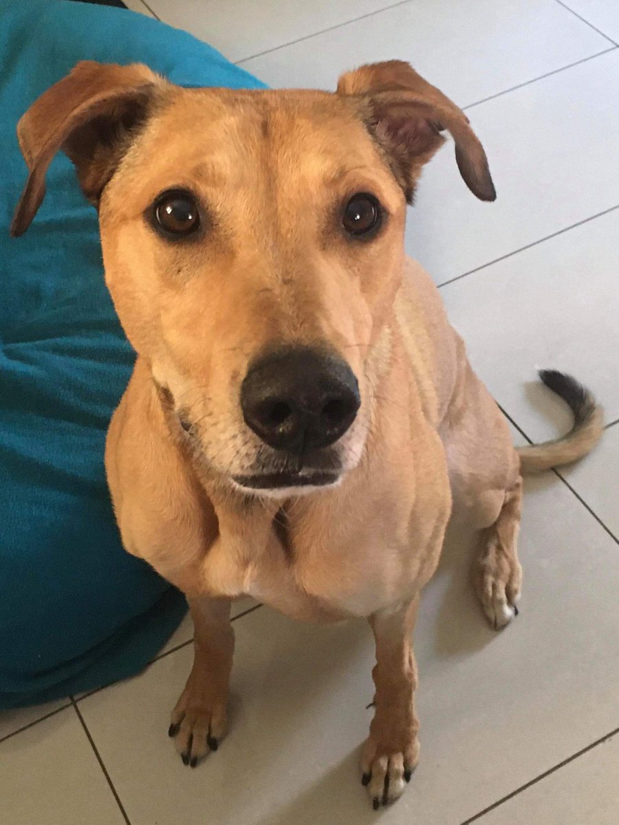 ❤bex❤ tweet media