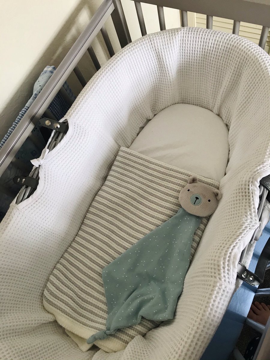 Ashton Potter tweet media