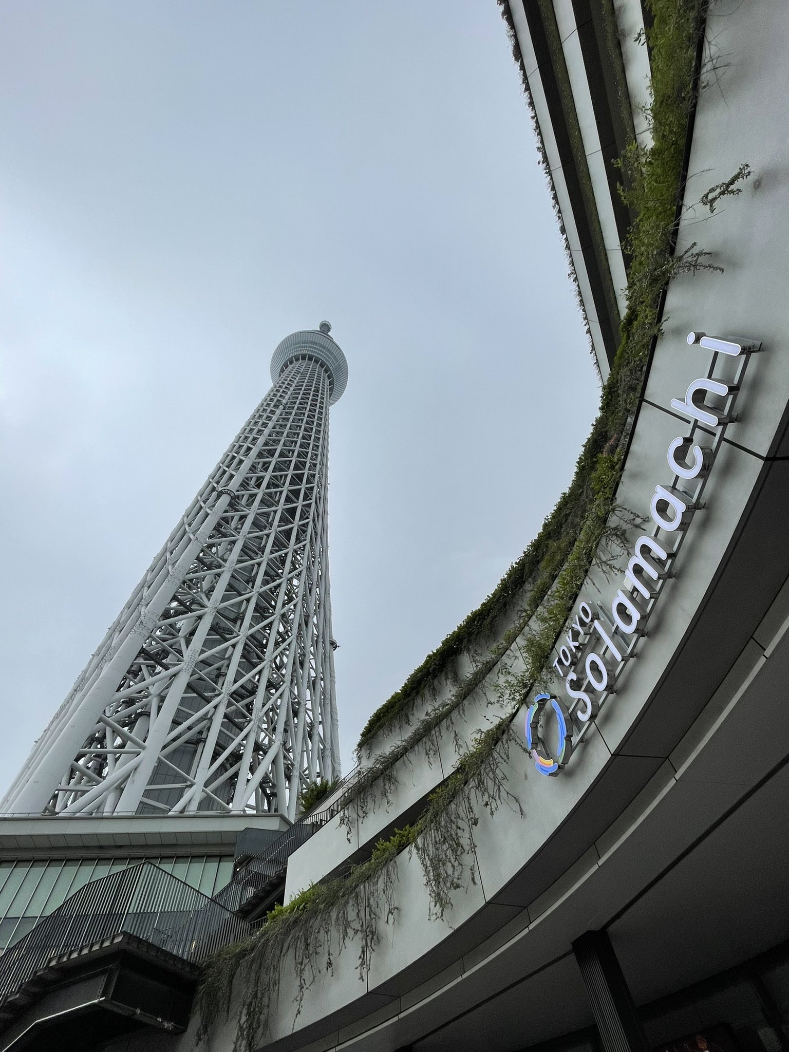 めぐみ 今日は 東京スカイツリータウン開業9周年です おめでとうございます スカイツリーもソラマチもすみだ水族館も天空も 開業9周年 ことしもコロナ禍で迎えました 早くコロナ終息して エヴァンゲリオンのイベントはどうなるのかしら