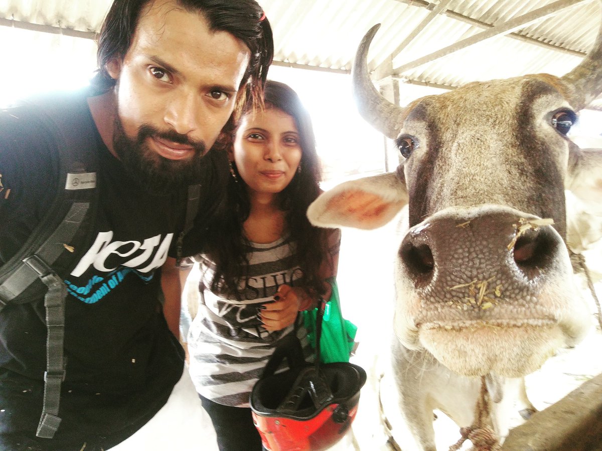 IngridNewkirk's tweet photo. Look at this cow's eyes. They rescued her from the butcher... https://t.co/CPm1NyDMxY