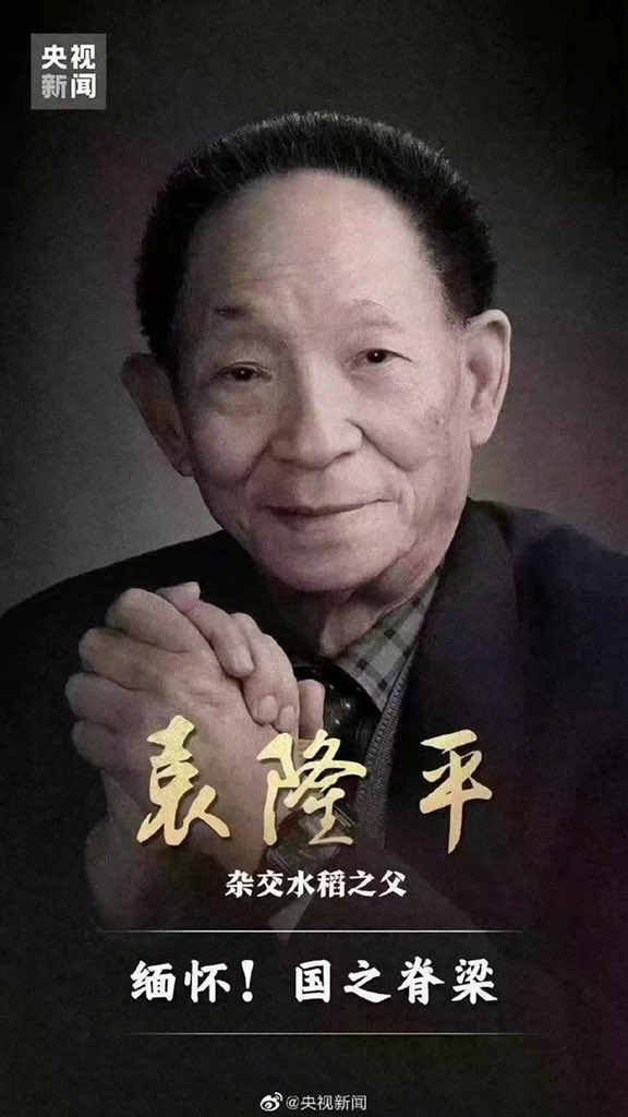 murongher's tweet photo. Salute to Yuan Longping The Father of Hybrid Rice🙏🙏🙏🙏 https://t.co/2A0zxRRcJK