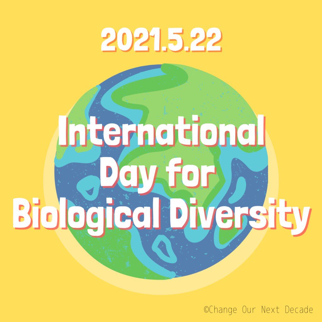 CondOcean's tweet photo. 【今日は生物多様性の日】

毎年5月22日は国連が定めた「生物多様性の日」です🌱

ぜひ、生物多様性について改めて考える機会にしてみてください🐝

#biodiversity #BiodiversityDay #ForNature #youth4biodiversity #ChangeOurNextDecade #ユース #生物多様性 #海 #ocean https://t.co/5RDm9E8tlW